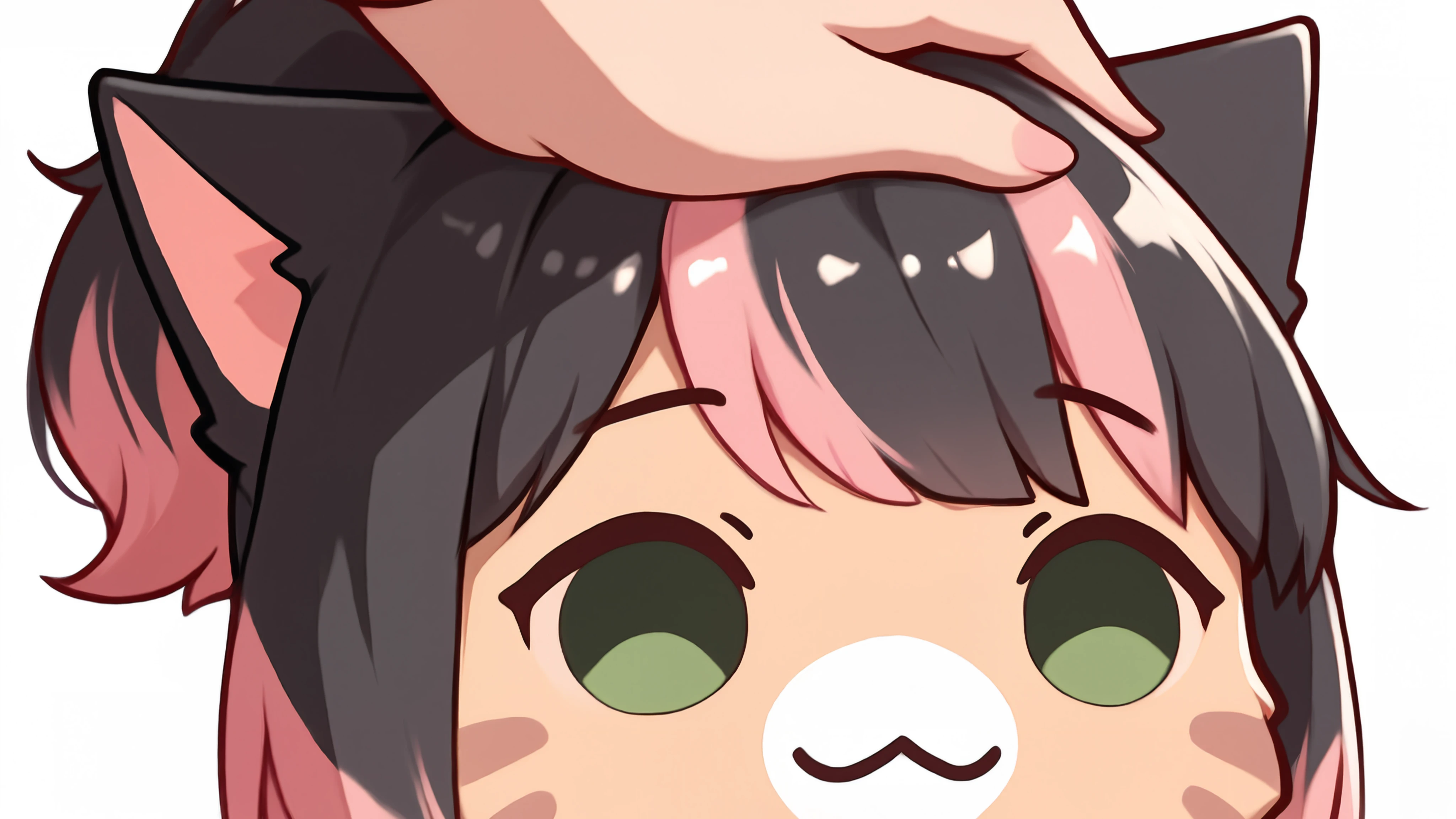 Cats :necomfy: